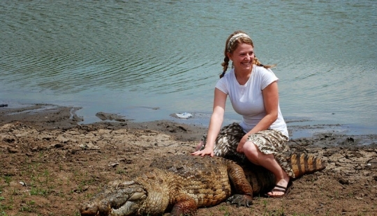 Friendly Crocodiles Pagi