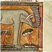Monster nosed: in the middle Ages painted elephants
