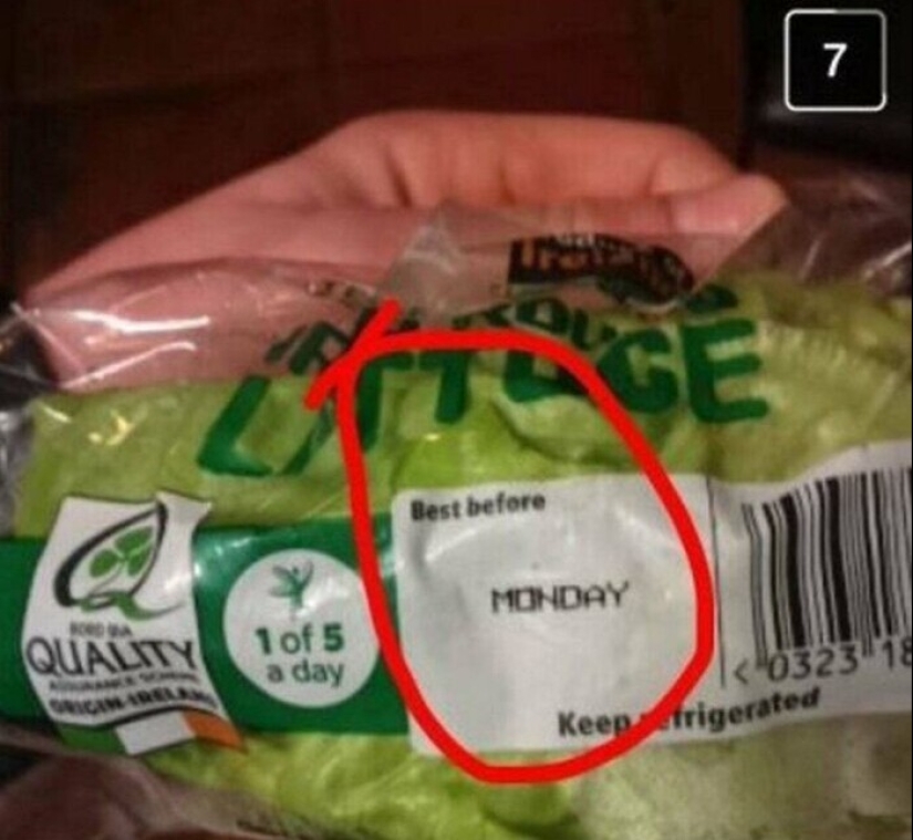 30 aspirantes a trabajadores que necesitan arrancarse las manos por ridículos cardúmenes 30 aspirantes a trabajadores que necesitan arrancarse las manos por ridículos cardúmenes