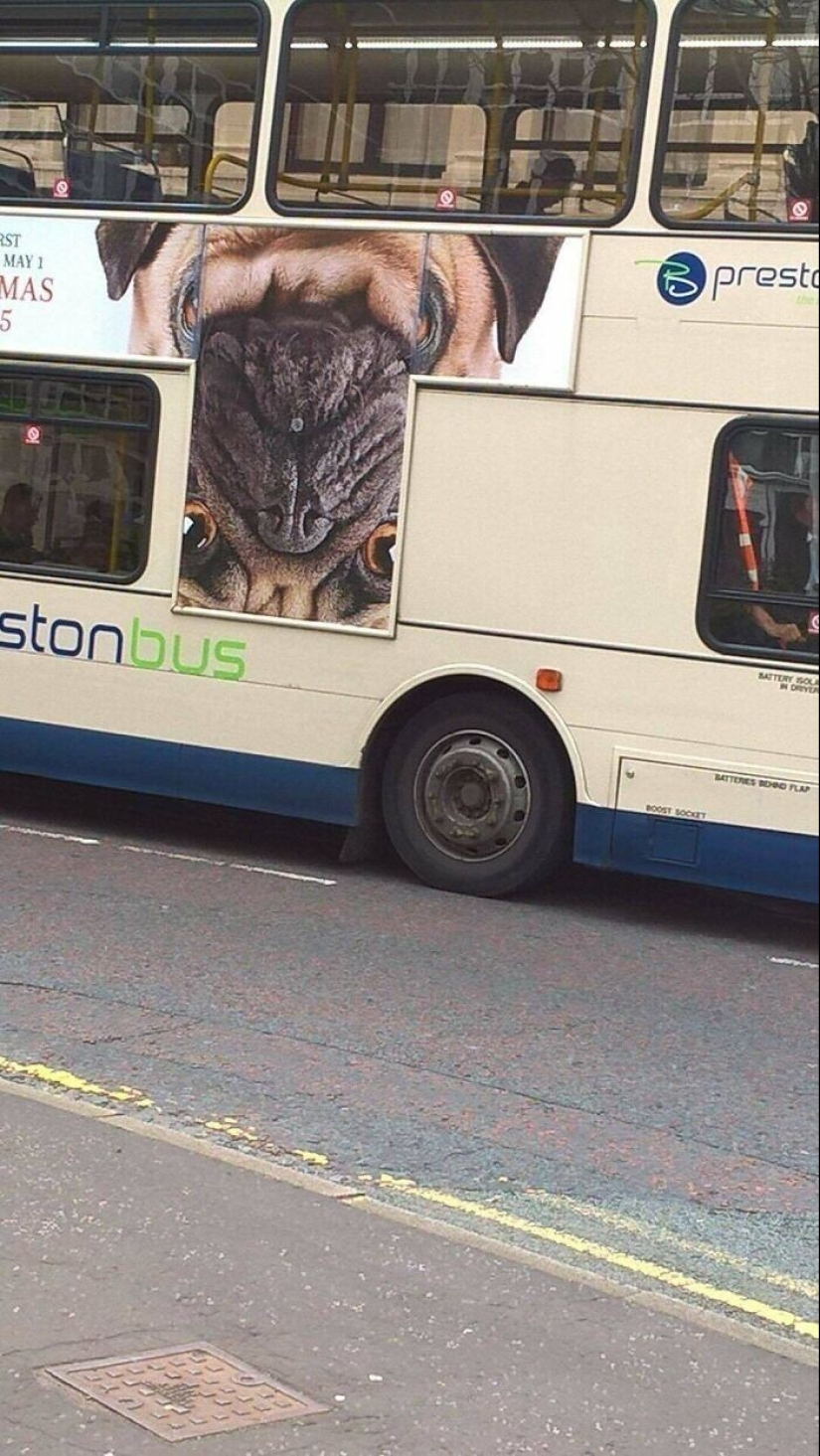 30 would-be workers who need to tear off their hands for ridiculous shoals 30 would-be workers who need to tear off their hands for ridiculous shoals