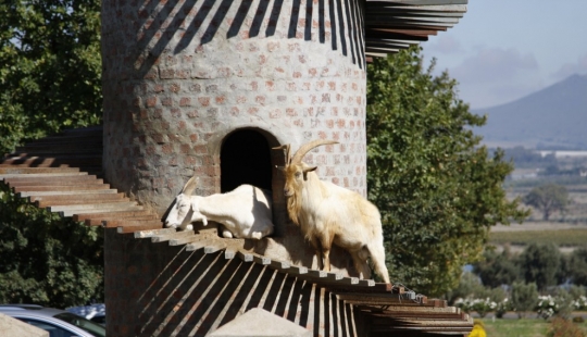 Goat tower