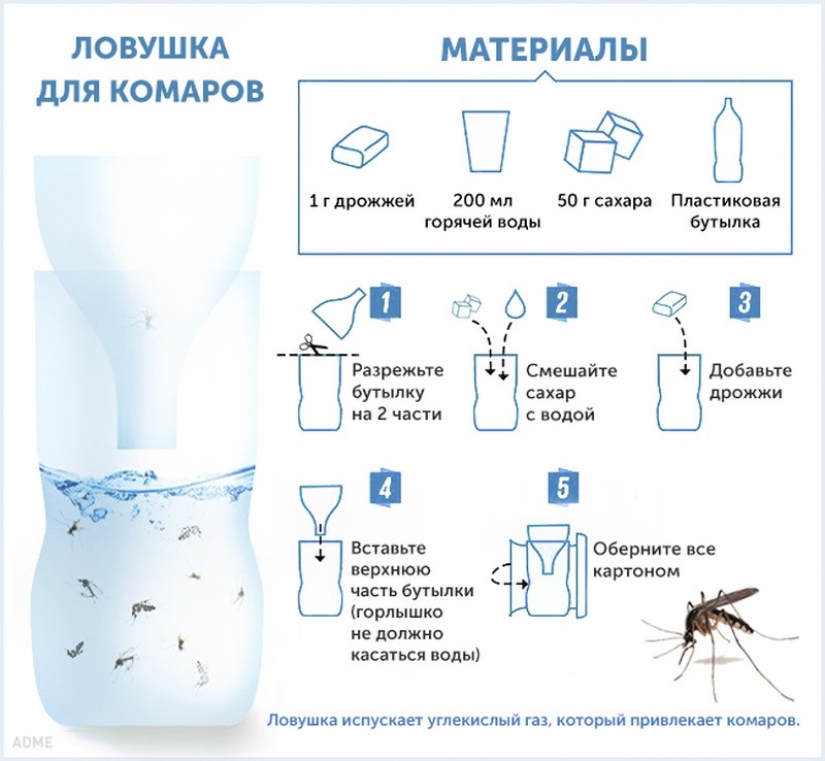 10 maneras para combatir los mosquitos y sus picaduras