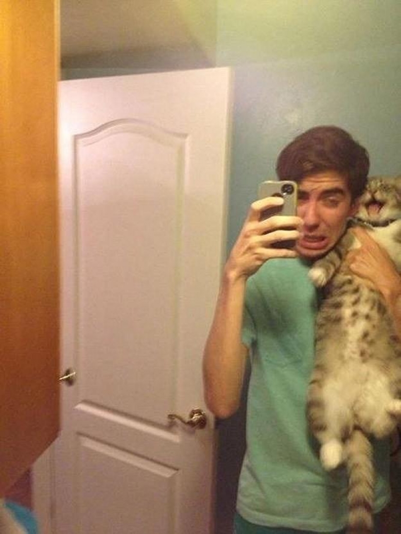 100 best cat photos of all times and peoples