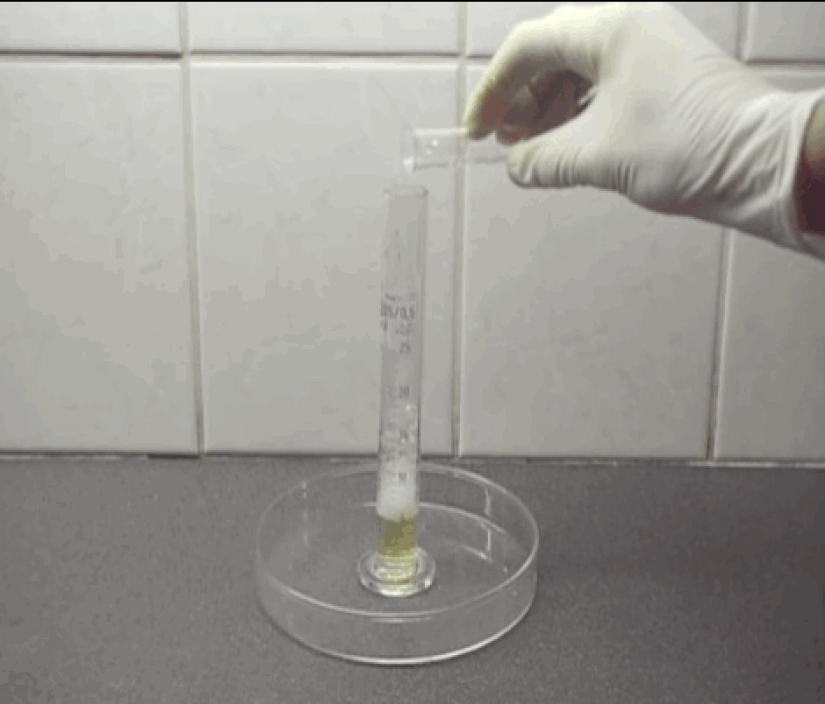 12 chemical reactions, which are more like magic