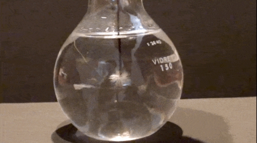 12 de reacciones químicas, que son más como por arte de magia