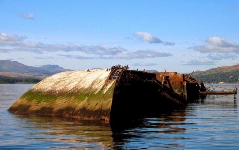 12 sunken ships, which you can see without scuba gear
