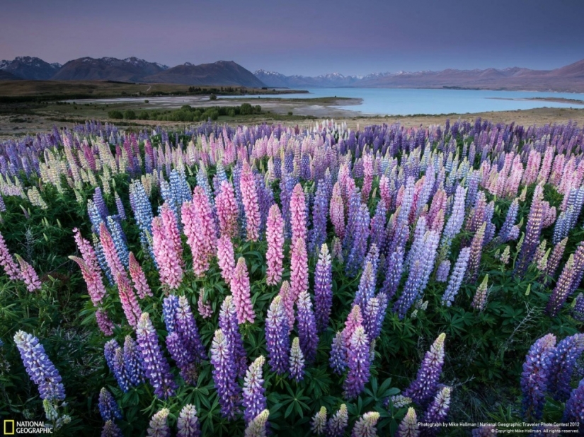 14 photos, which you will discover the magical nature of New Zealand