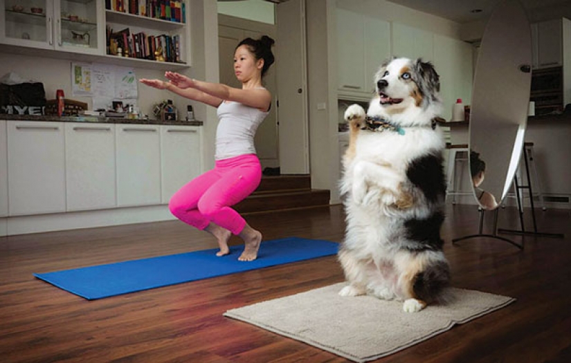 15 animales que hacen yoga mejor que tú
