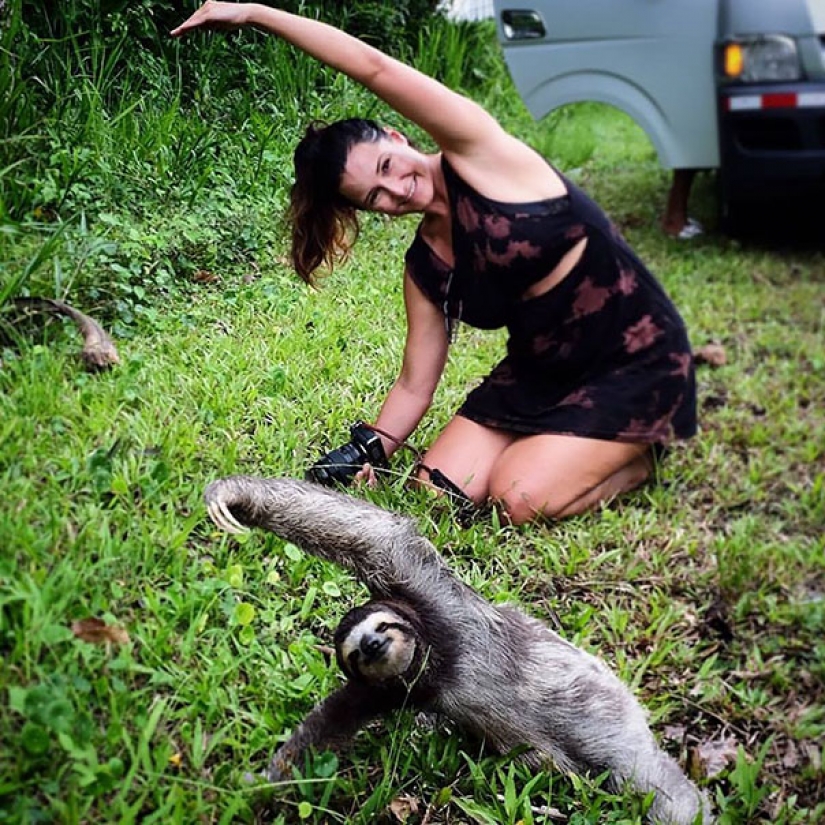 15 animals who do yoga better than you