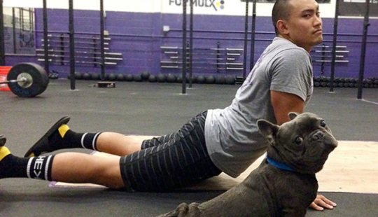 15 animals who do yoga better than you