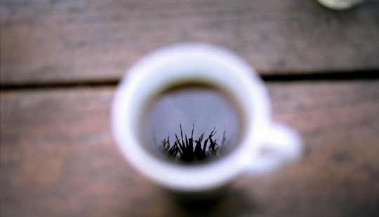 15 ecológico formas para utilizar los posos del café
