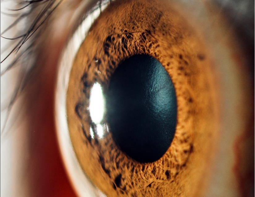 15 facts about eyes that you will be amazed