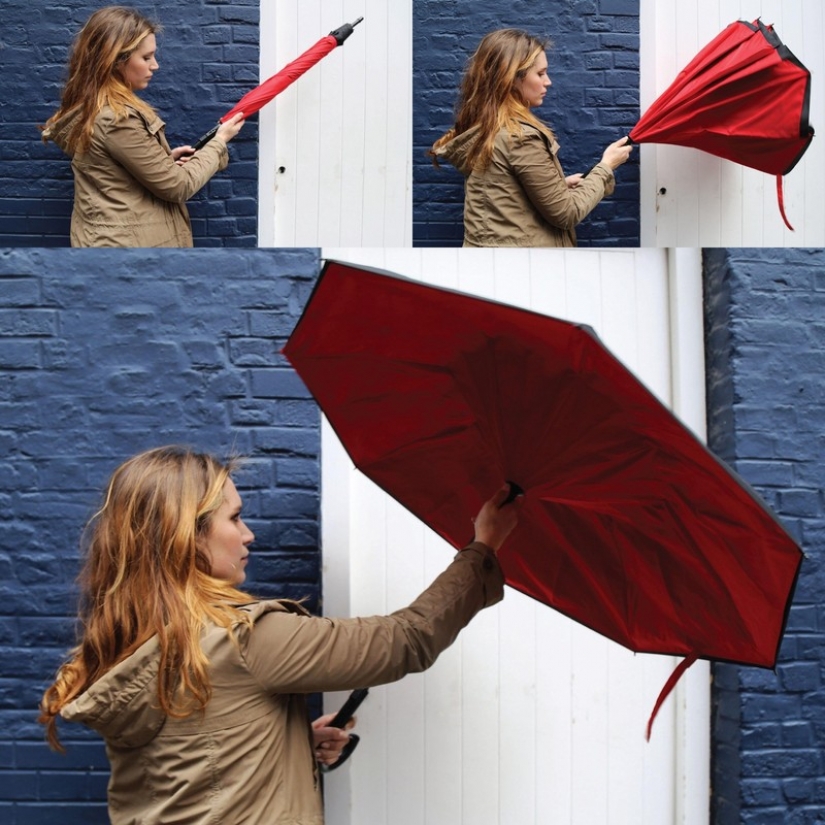 17 amazing umbrellas, which transcend autumn rains
