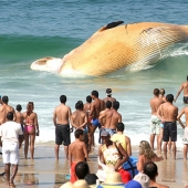 17 fotos que son de la mente que sopla y sin photoshop