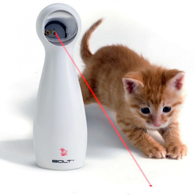 17 gadgets para el hogar que tiene un gato