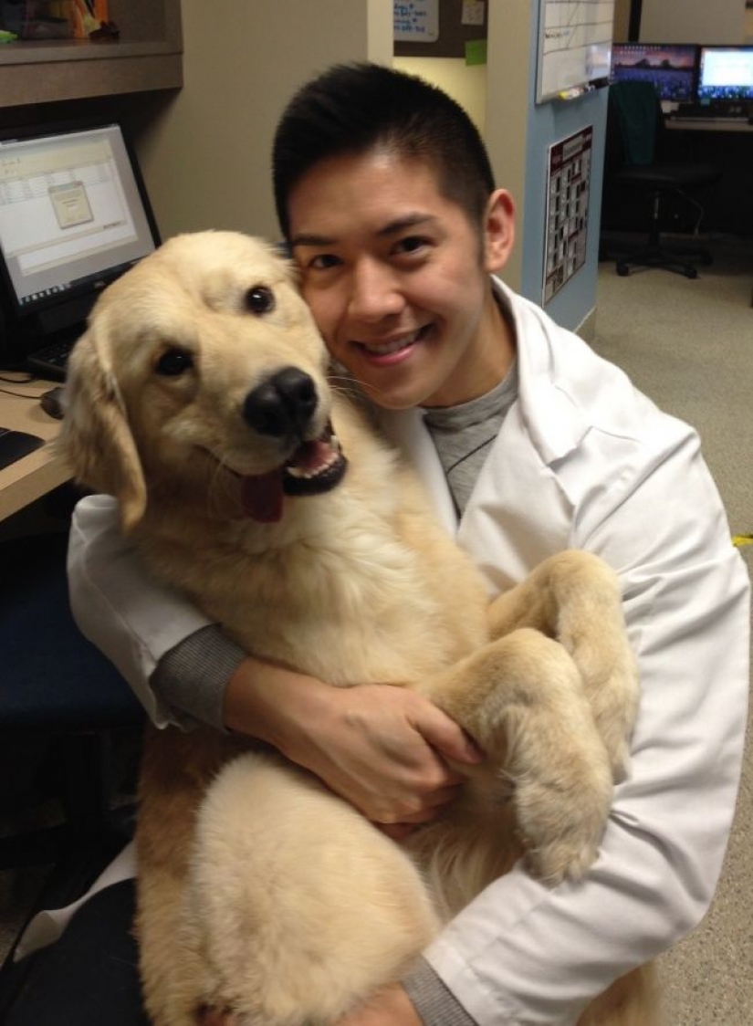 18 evidence that the veterinarian is sick profession