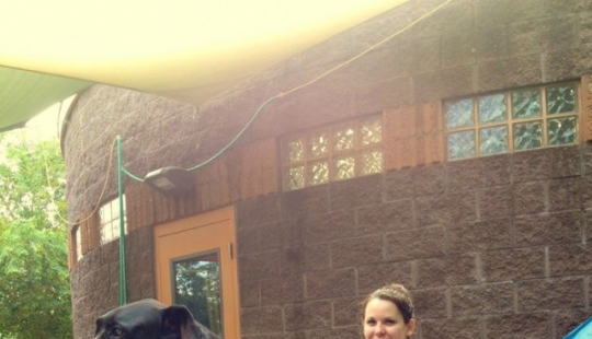 20 big dogs that have no idea how huge