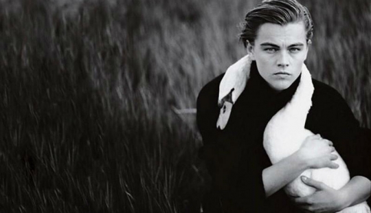 20 la mayoría de foto impresionante de estrellas, creada por Annie Leibovitz