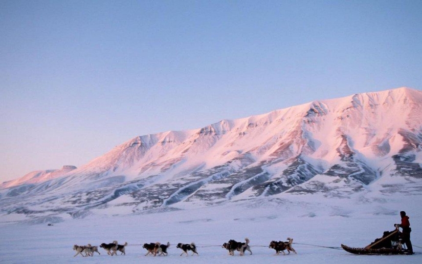 20 lugares donde los animales raros