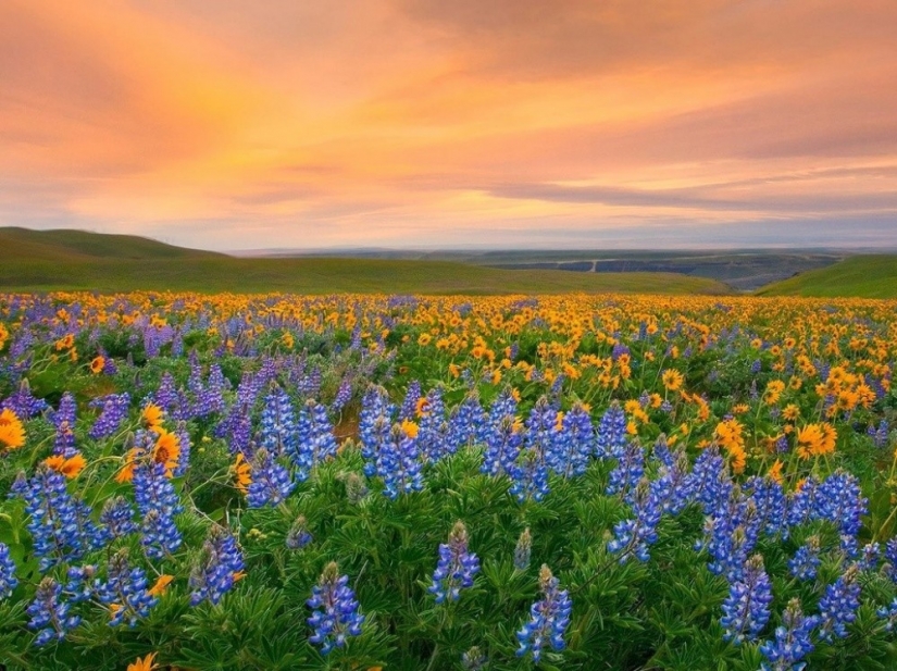 20 lugares en el planeta donde la naturaleza no ha arrepentido de pinturas