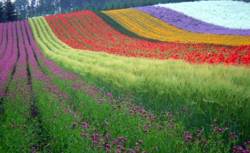 20 places on the planet where nature has not regretted paints