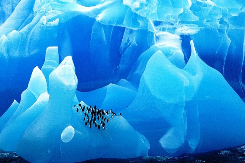 25 amazing icebergs and glaciers from around the world