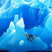 25 amazing icebergs and glaciers from around the world