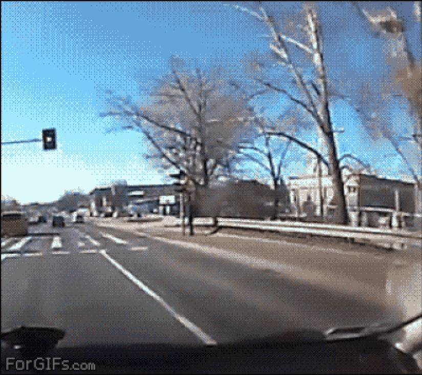 25 gifs about incredible luck