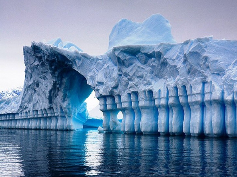 25 increíbles de los icebergs y los glaciares de todo el mundo