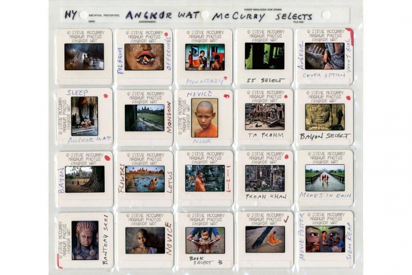 30 años, 20 de los pasaportes — la historia de Steve McCurry
