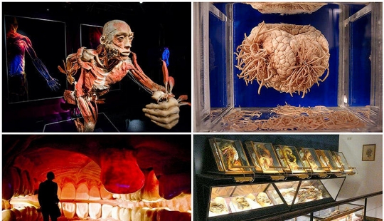 6 most shocking anatomical museums in the world