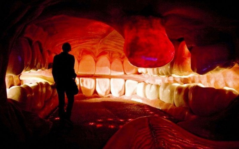 6 most shocking anatomical museums in the world