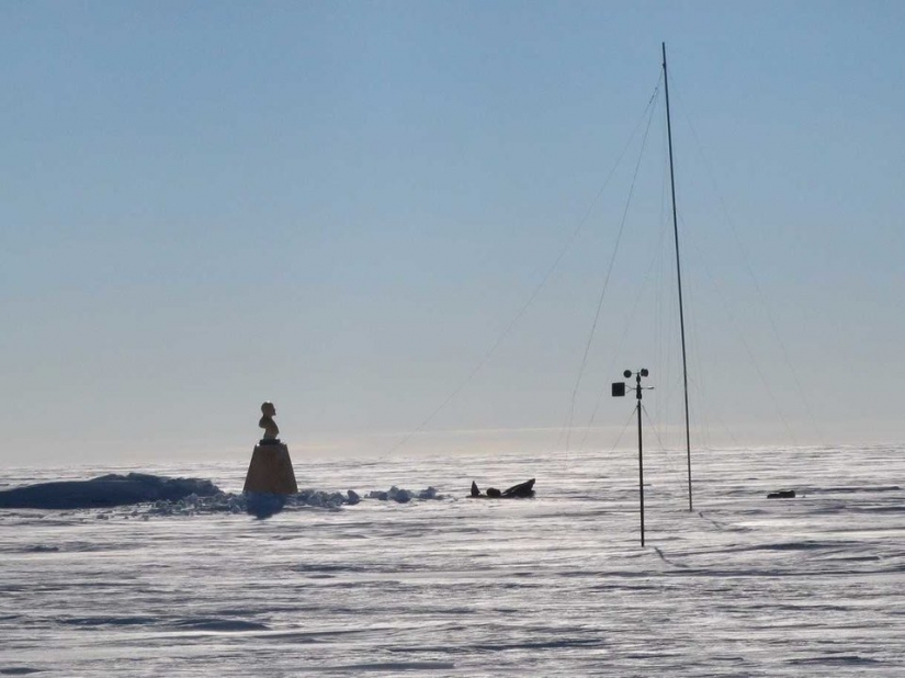 8 cosas fascinantes en la Tierra que nunca supiste que existían