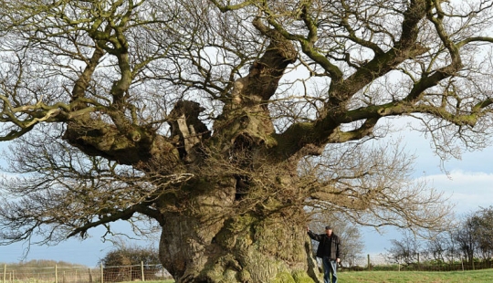 Ability to plan for the next 500 years, or what the strength of Britain Ability to plan for the next 500 years, or what the strength of Britain