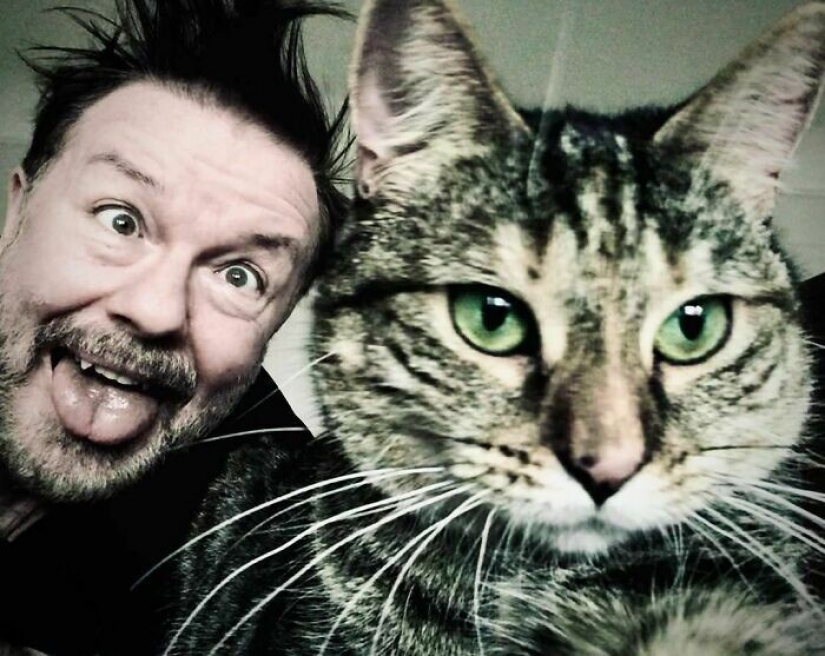 Actor Ricky Gervais thought to take the cat to overexposure, but she changed his plans