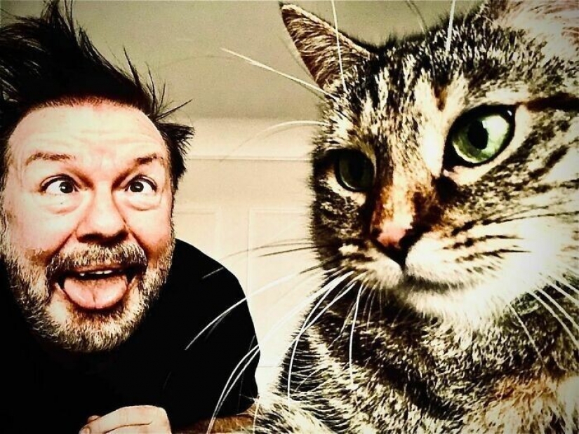 Actor Ricky Gervais thought to take the cat to overexposure, but she changed his plans