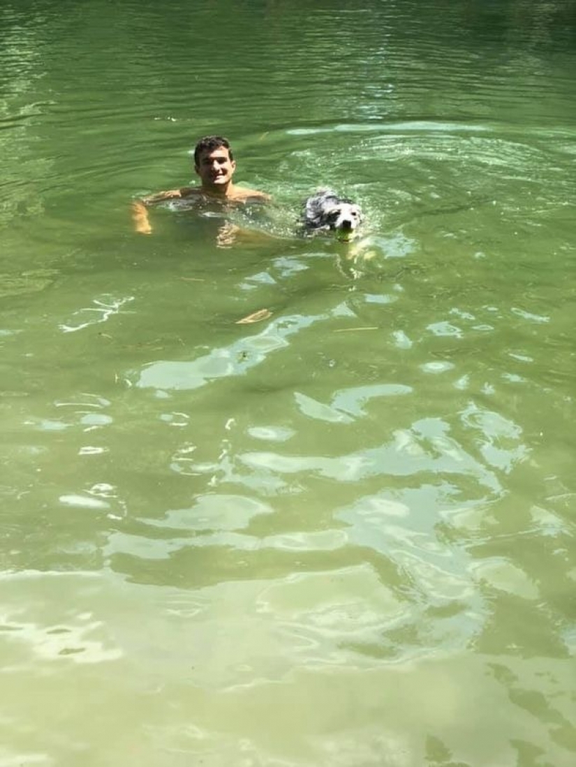 Agua muerta: cuatro perros murieron en el frente de la confundido hosts después de nadar en el lago tóxico