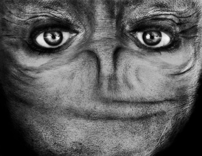 Aliens among us: the upturned face, which resembles an alien