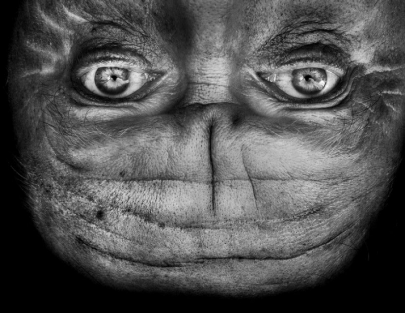 Aliens among us: the upturned face, which resembles an alien