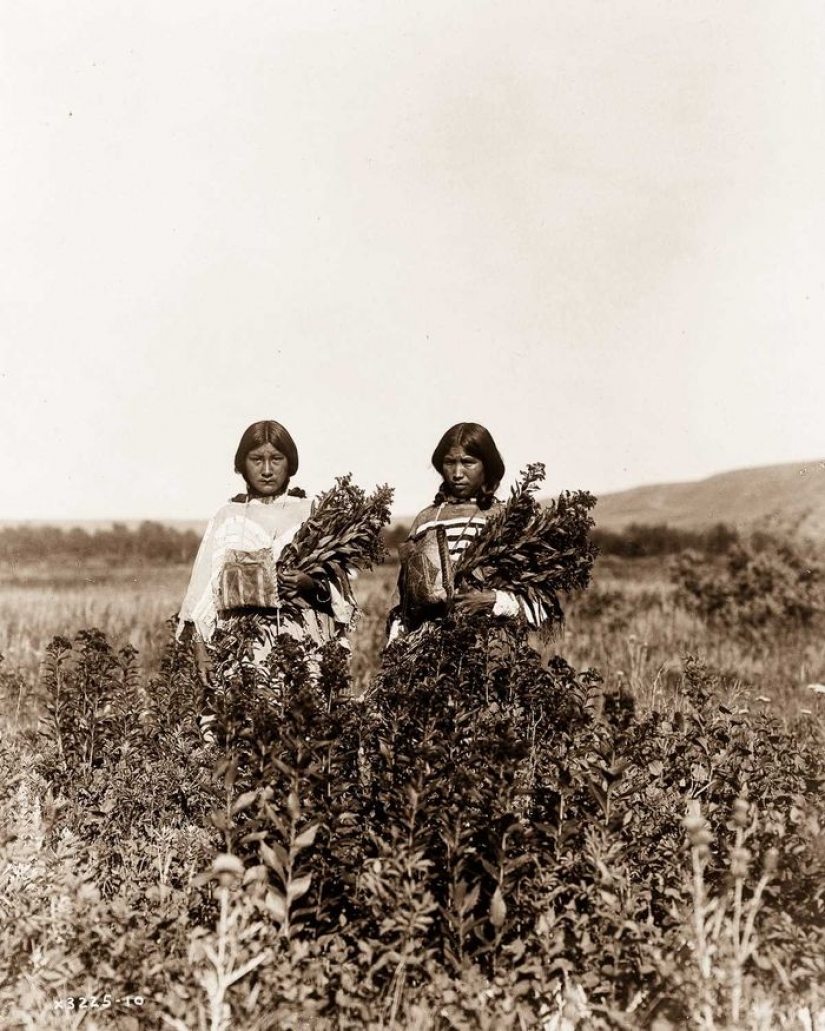 Años 1904-1924: la vida de los Indios de América del Norte fotos de Edward Curtis