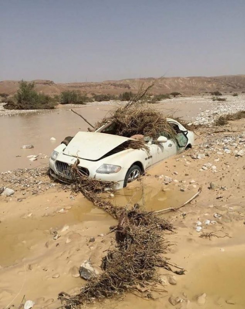 Another "dream job" in UAE searching for specialist search for abandoned luxury cars