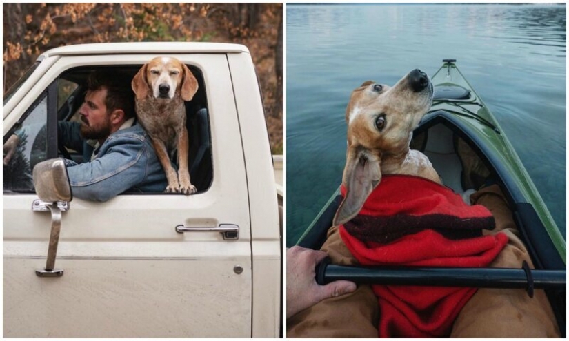 As a traveling photographer Theron Humphrey and his dog Maddie