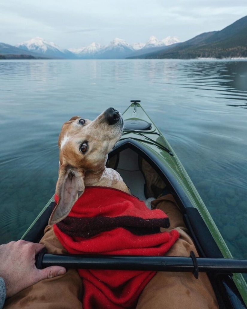 As a traveling photographer Theron Humphrey and his dog Maddie