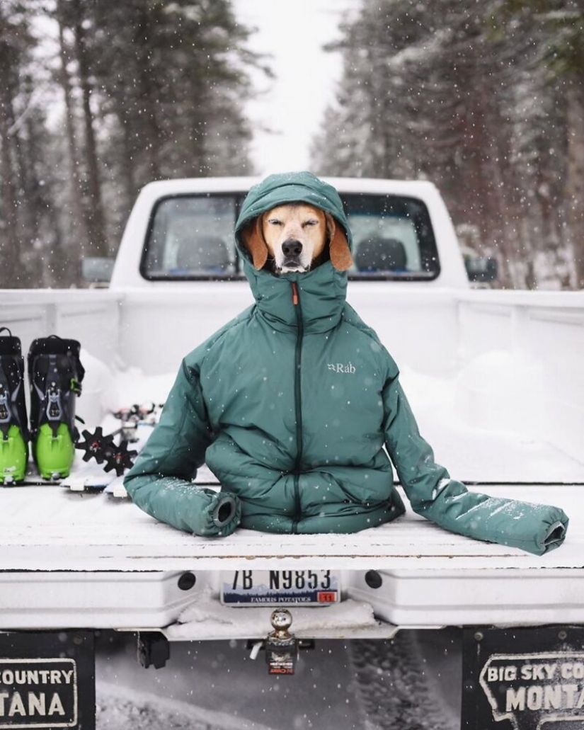 As a traveling photographer Theron Humphrey and his dog Maddie