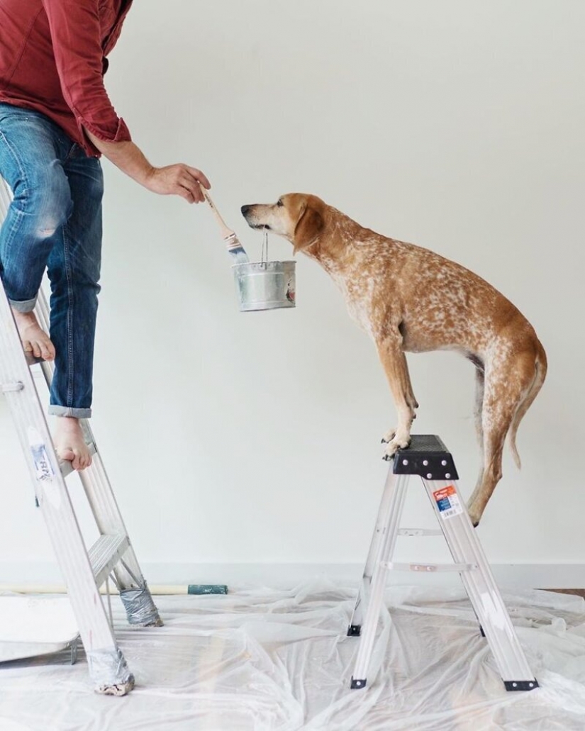 As a traveling photographer Theron Humphrey and his dog Maddie