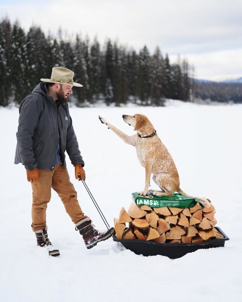 As a traveling photographer Theron Humphrey and his dog Maddie