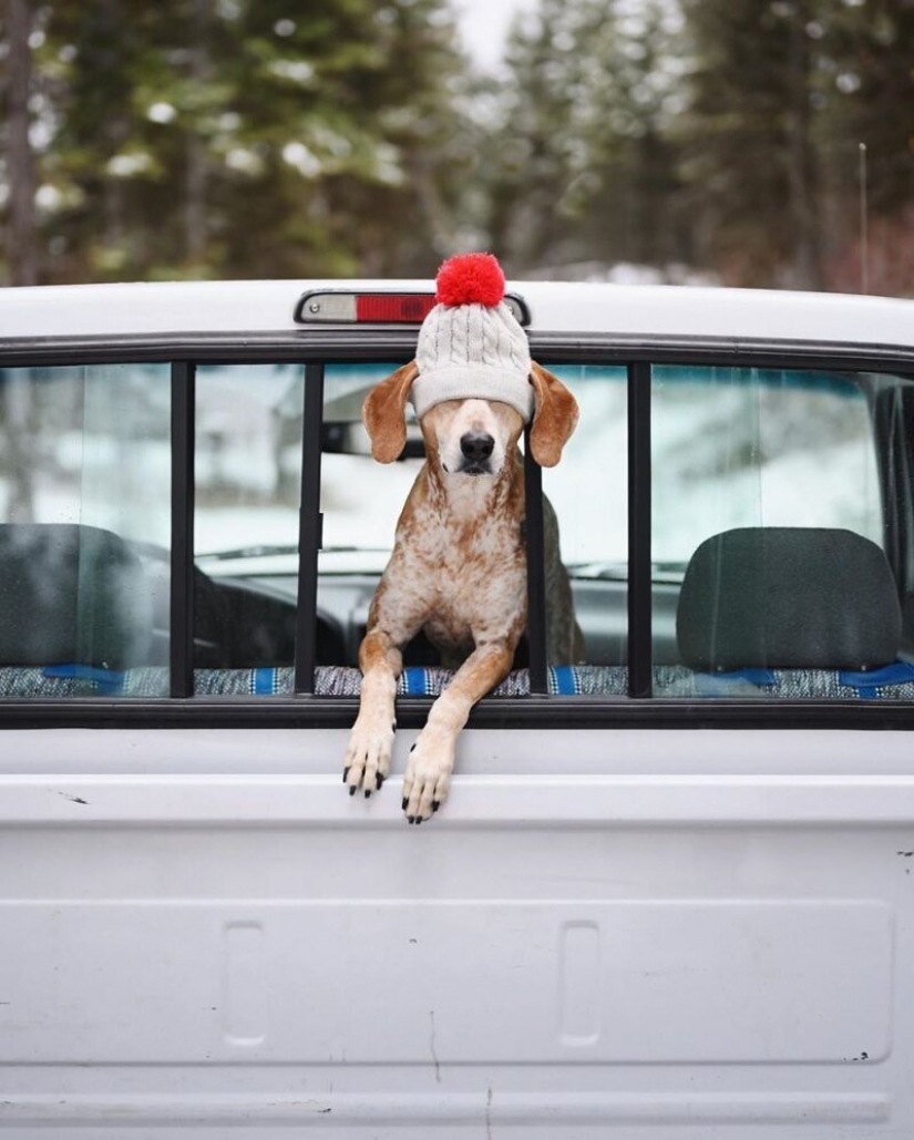 As a traveling photographer Theron Humphrey and his dog Maddie