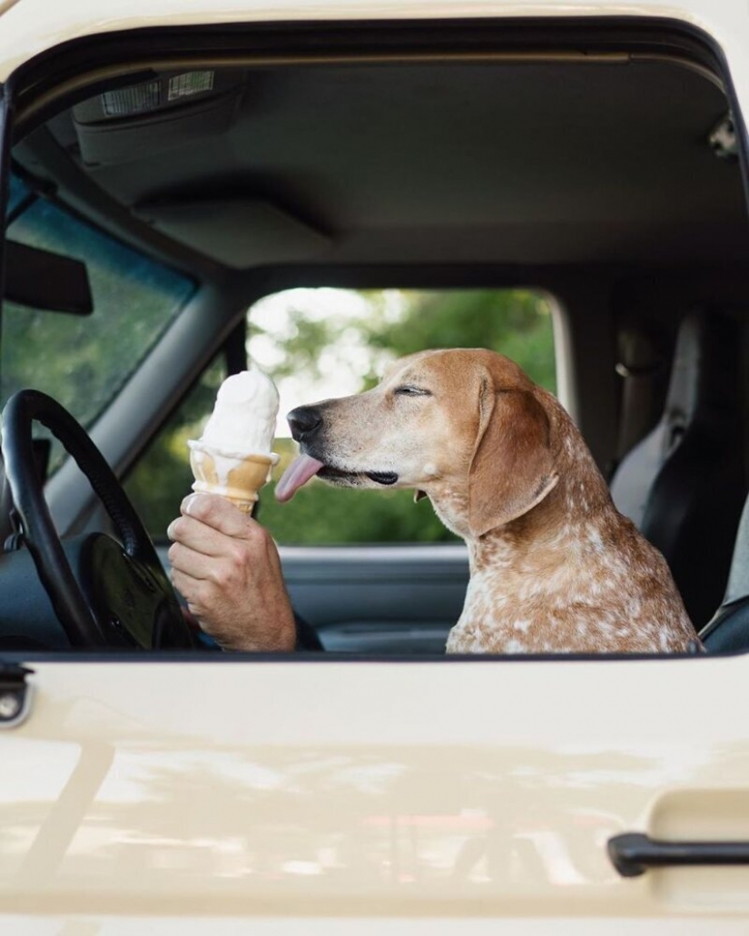 As a traveling photographer Theron Humphrey and his dog Maddie