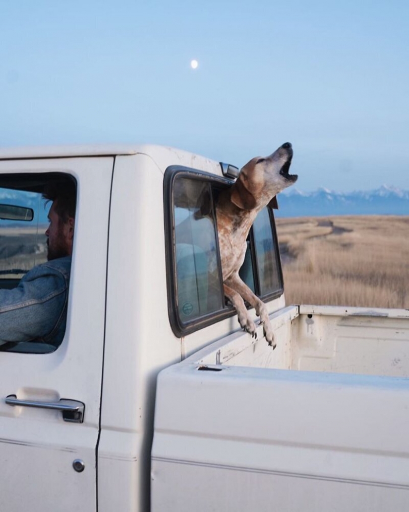 As a traveling photographer Theron Humphrey and his dog Maddie