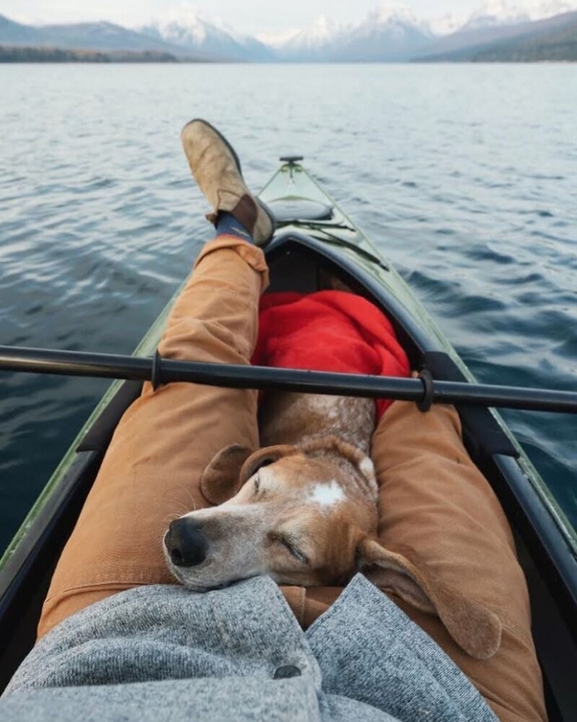 As a traveling photographer Theron Humphrey and his dog Maddie